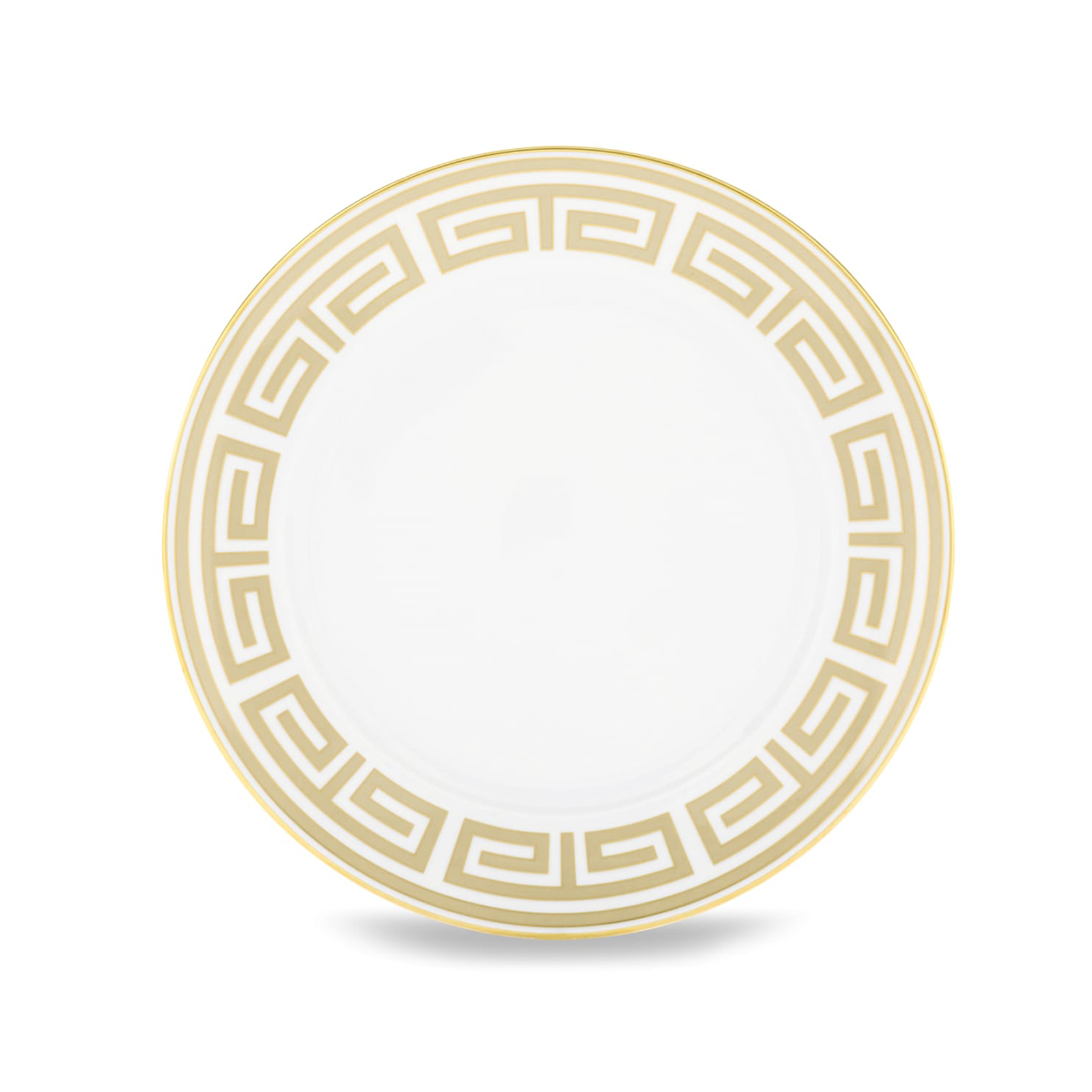 Dinner plate