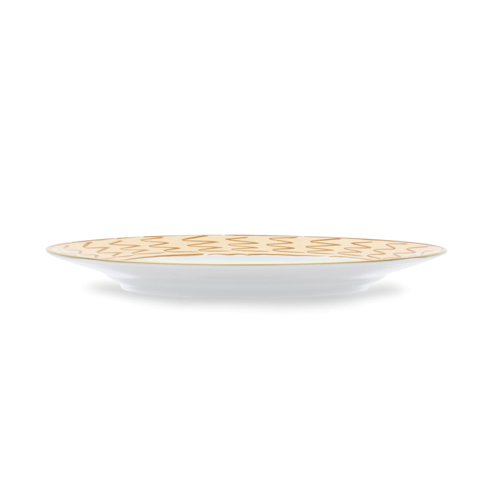 Dinner plate