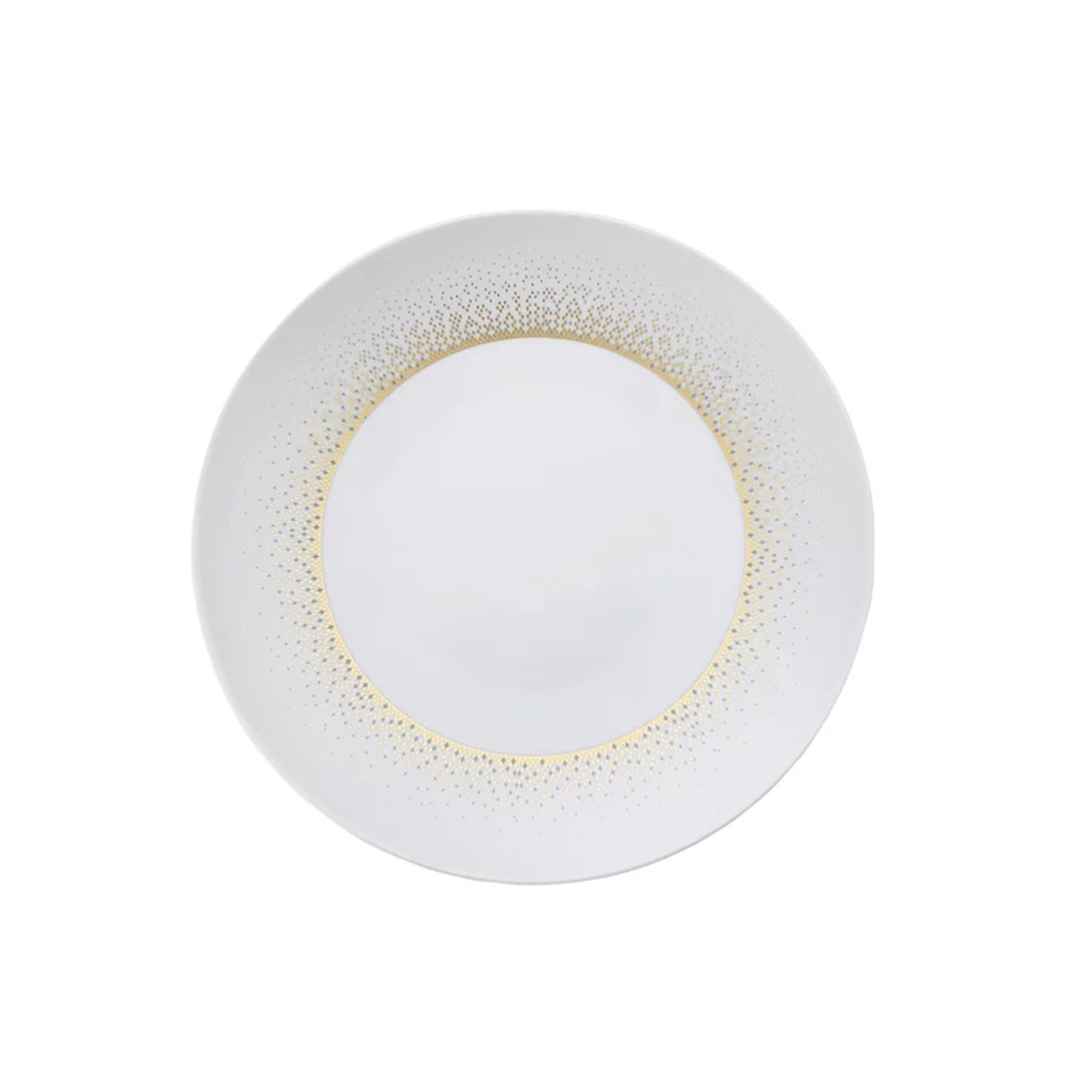 Dinner plate