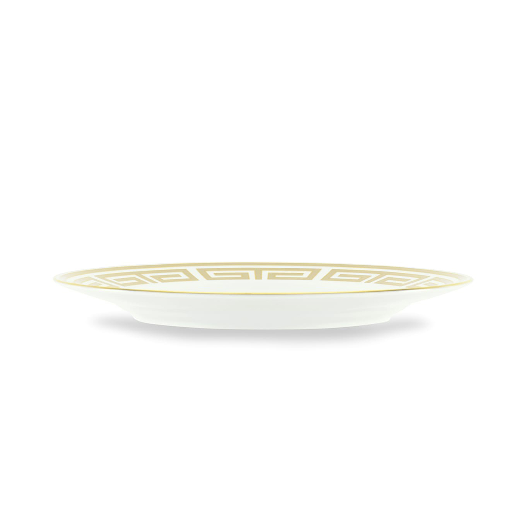 Dinner plate