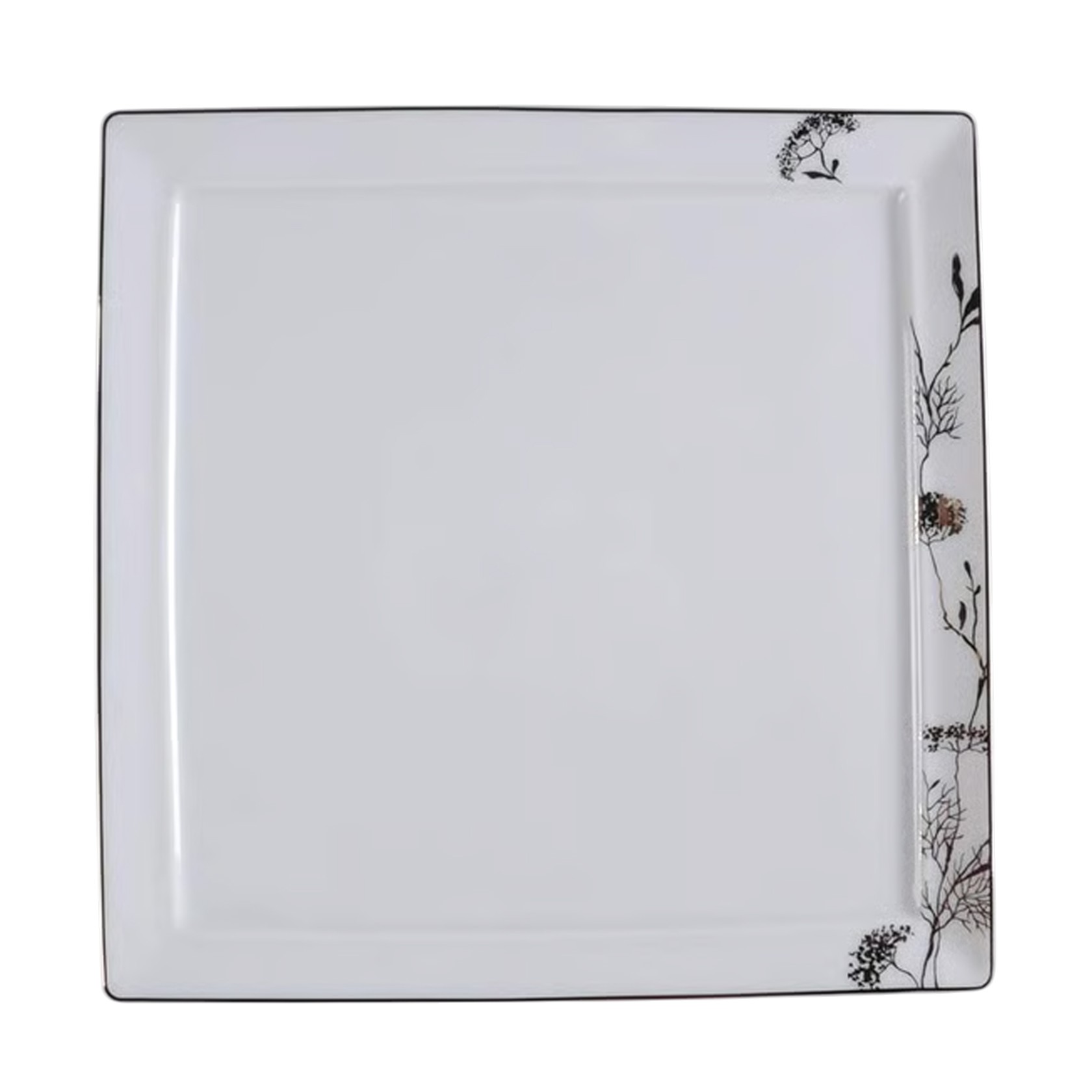 Set of 6 Dinner Plates