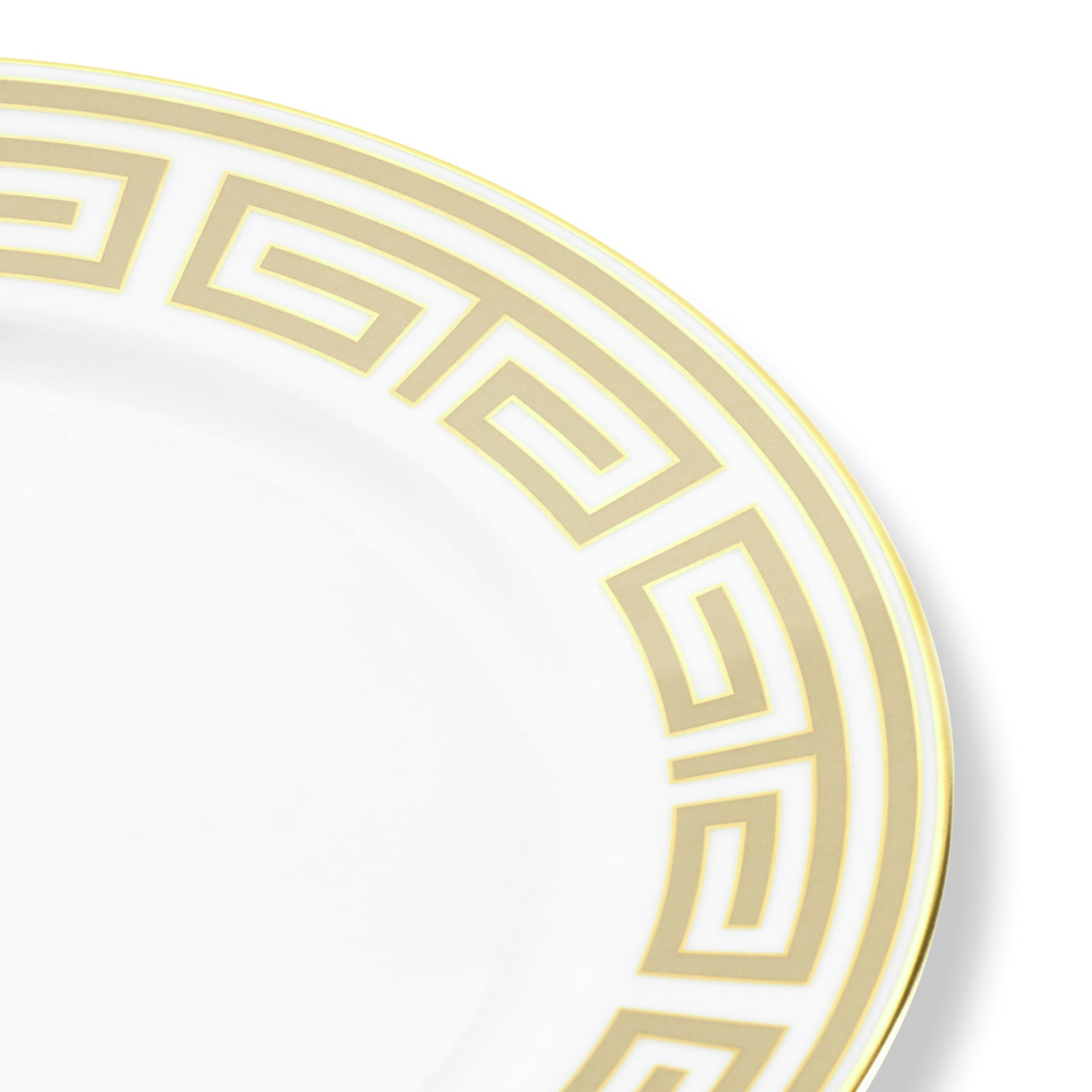 Dinner plate