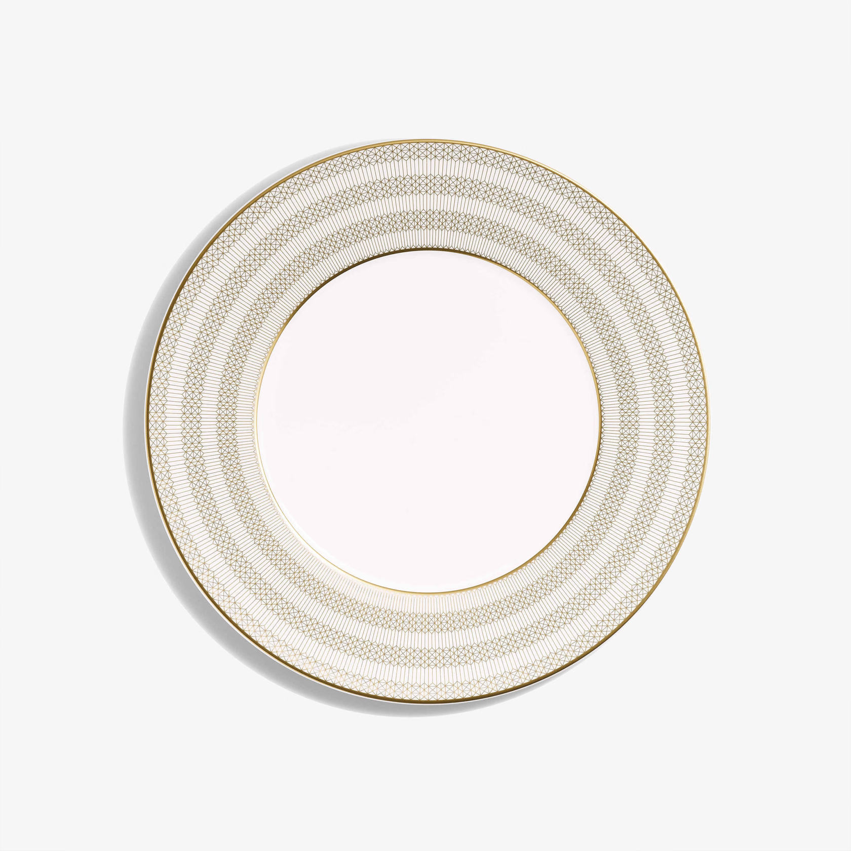 Set of 2 Dinner Plates