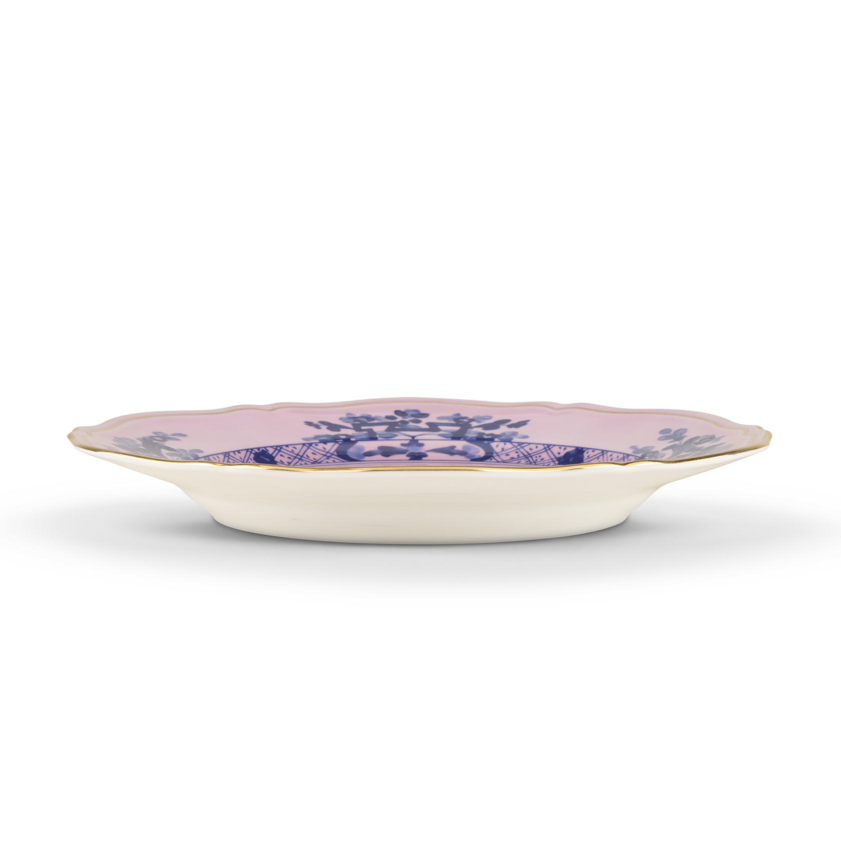 Dinner plate