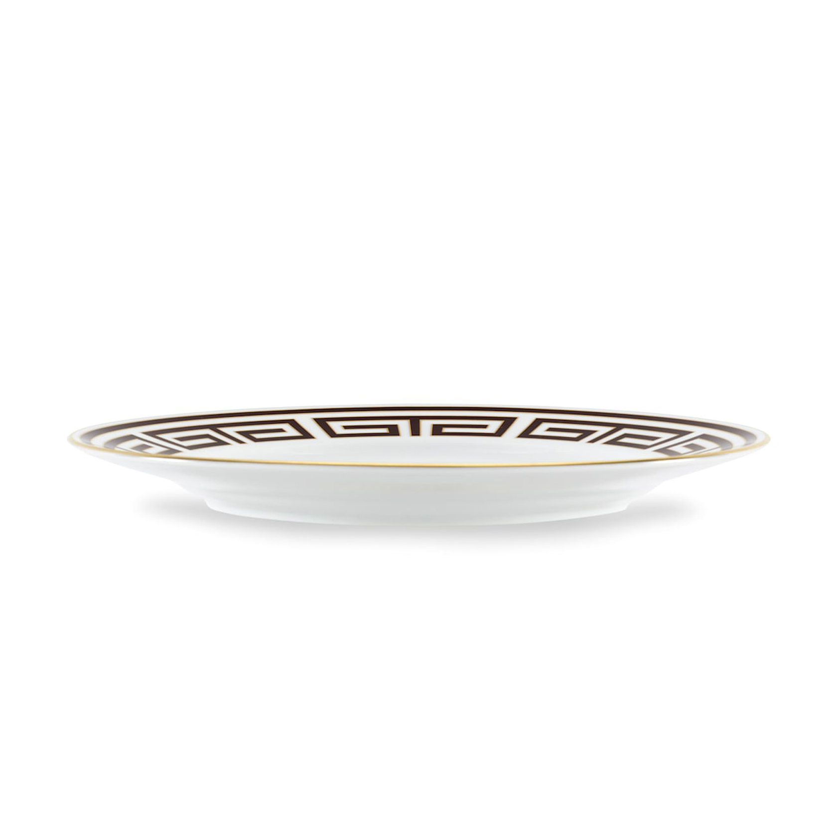 Dinner plate