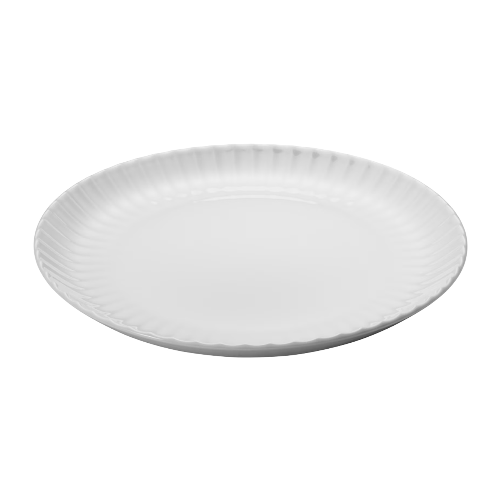 Dinner plate