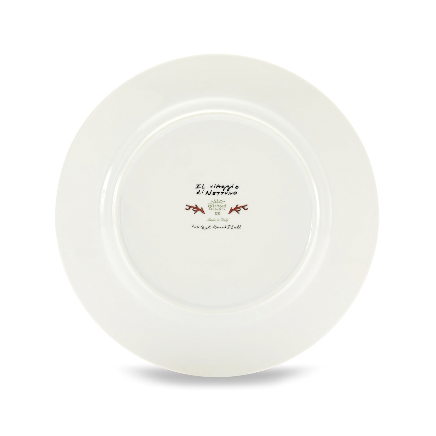 Dinner plate