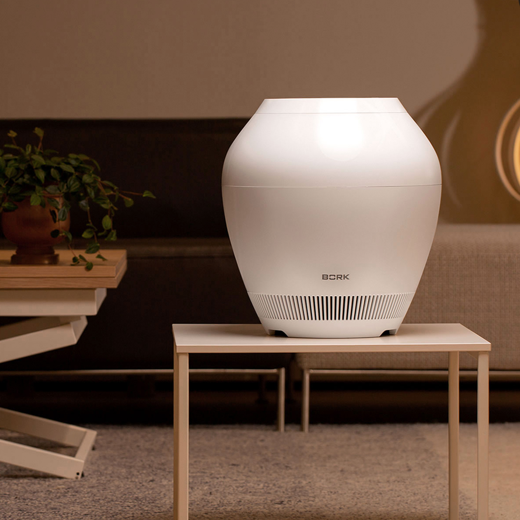 Air purifier with humidifier
