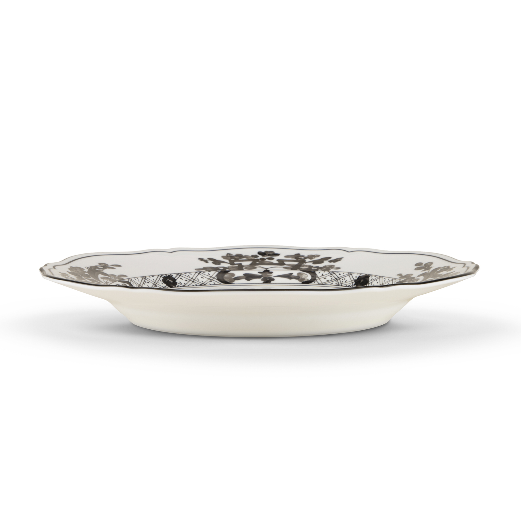 Dinner plate