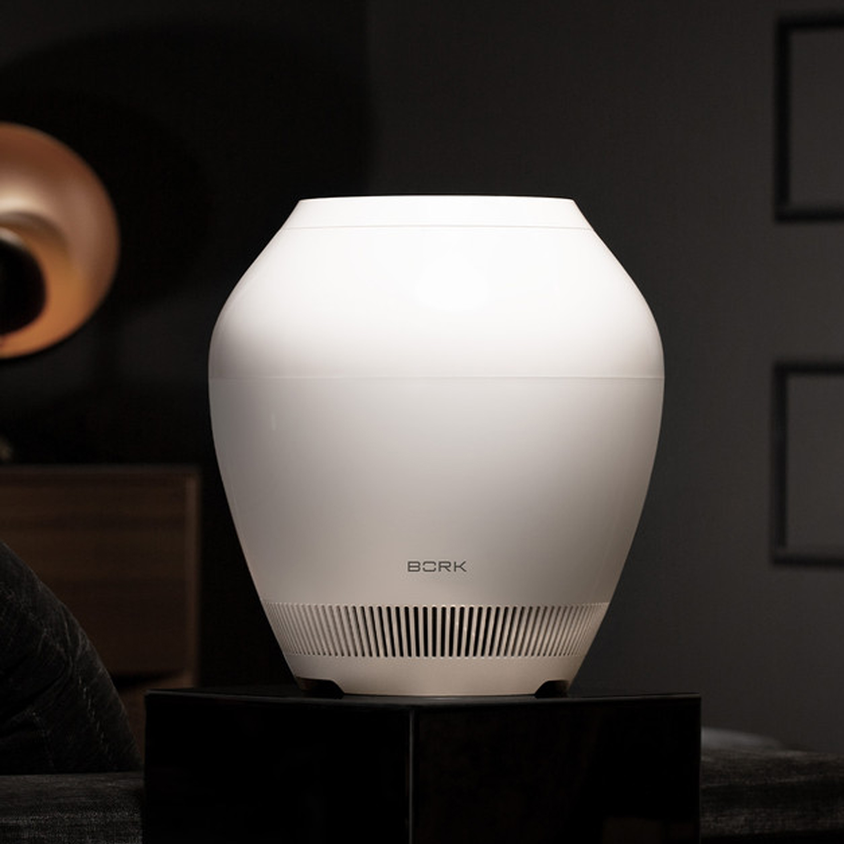 Air purifier with humidifier