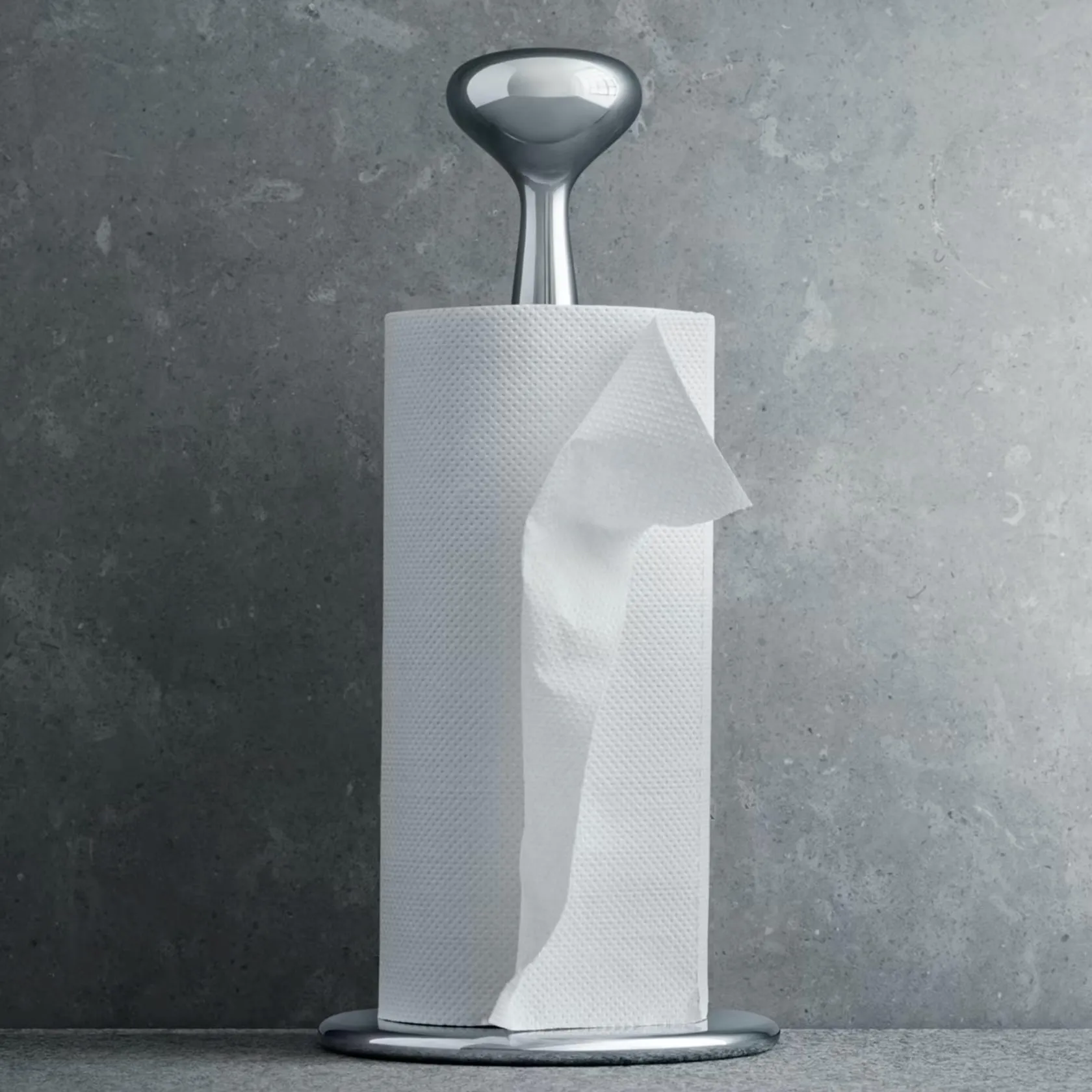 Paper Towel Holder