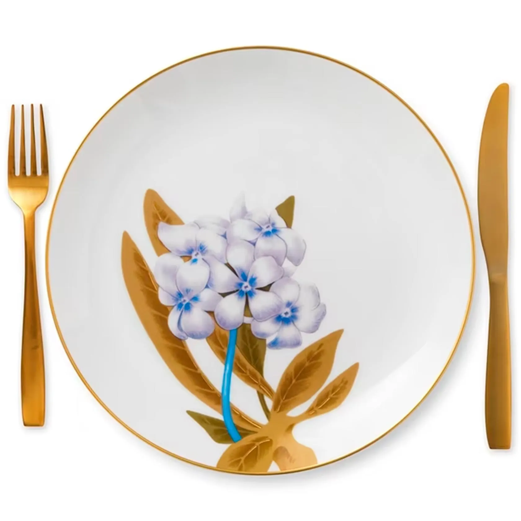 Dinner plate