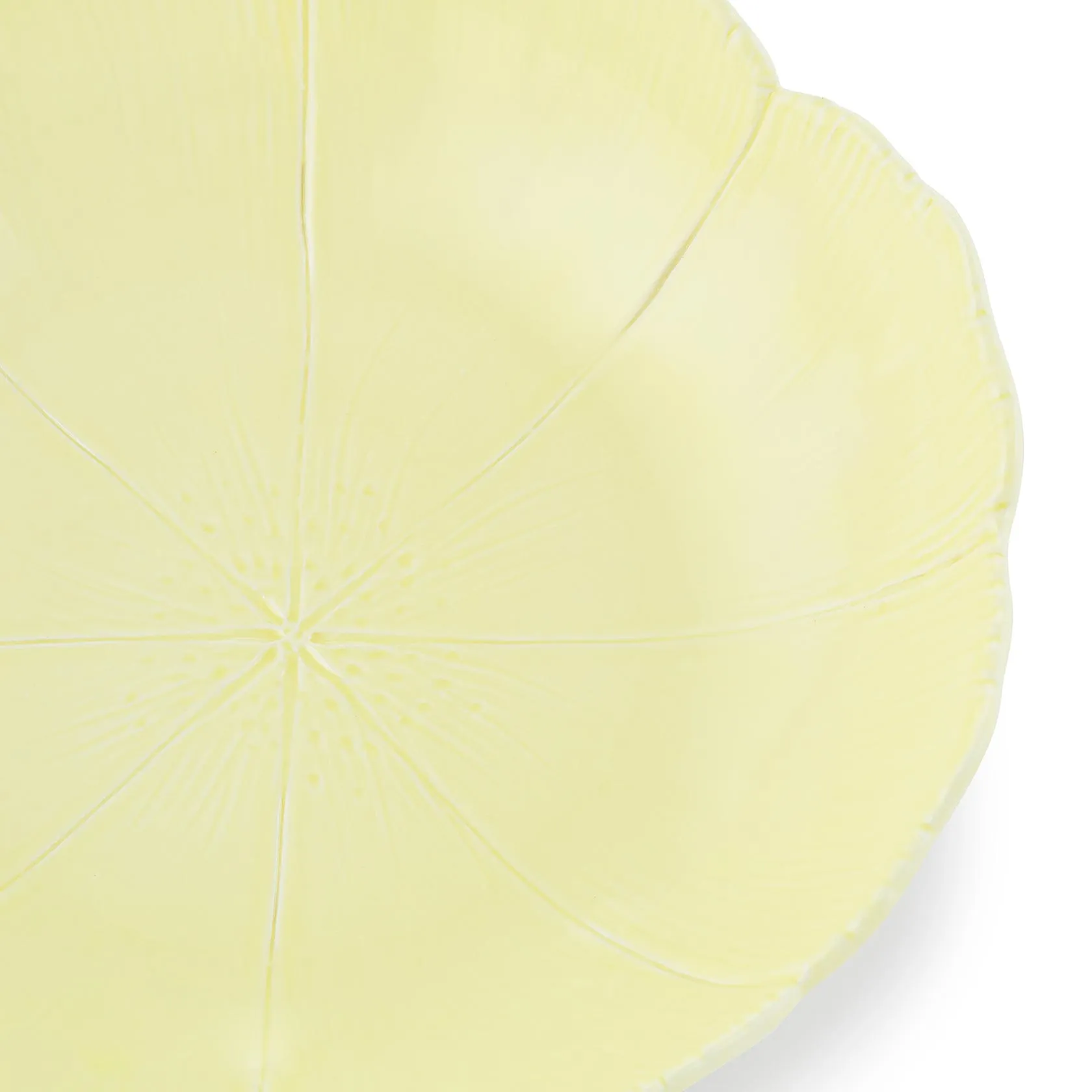 Set of 2 pasta bowls