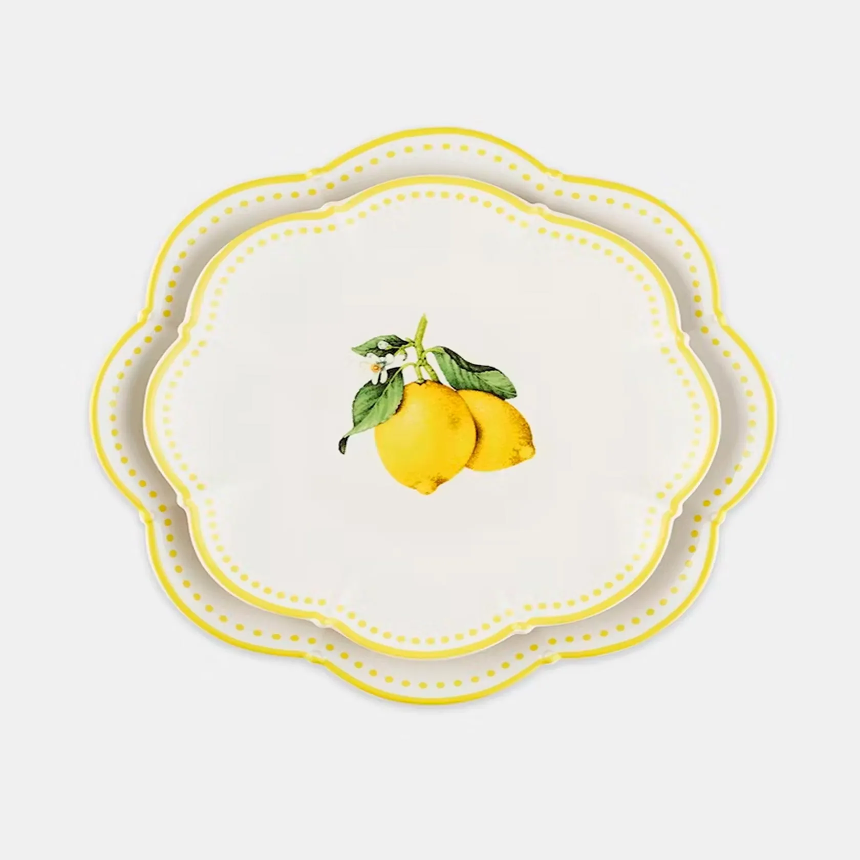 Set of 2 dinner plates