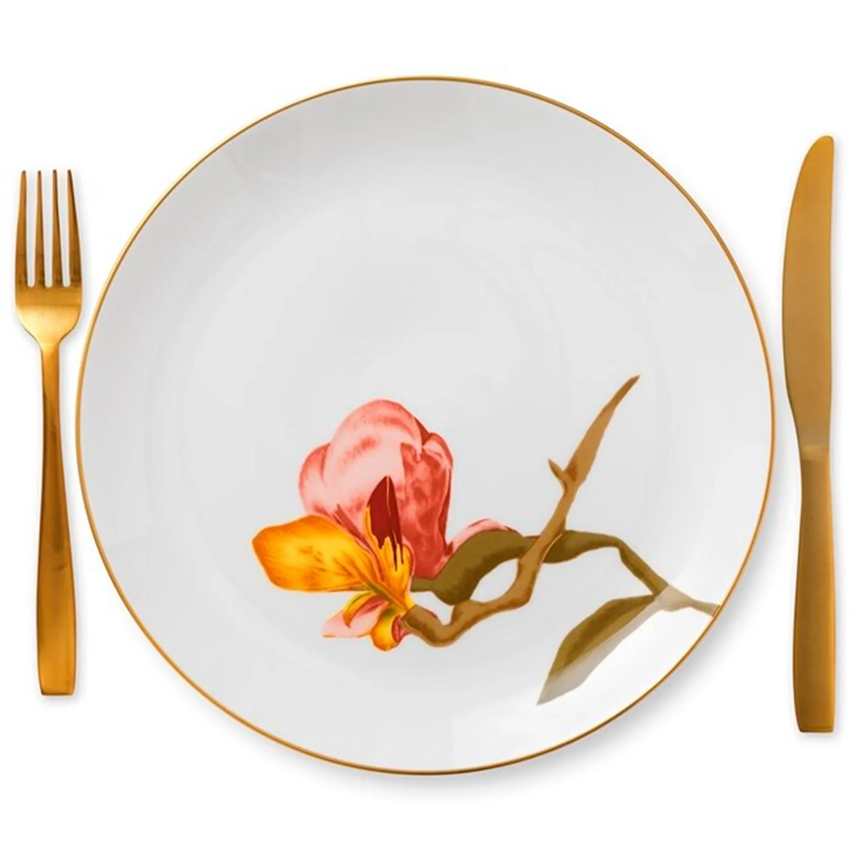 Dinner plate