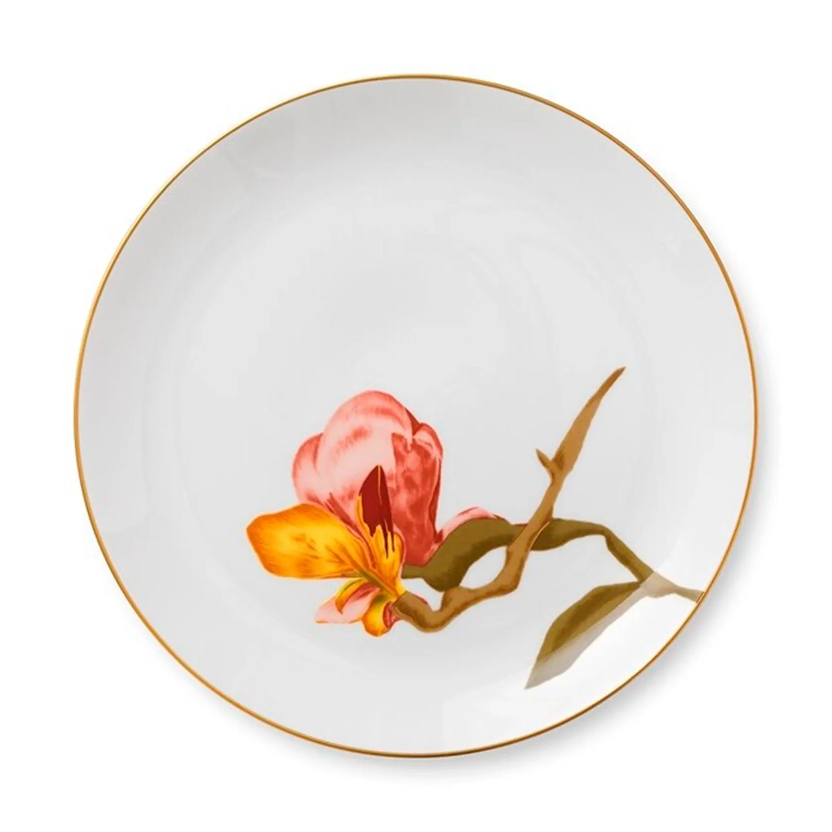 Dinner plate