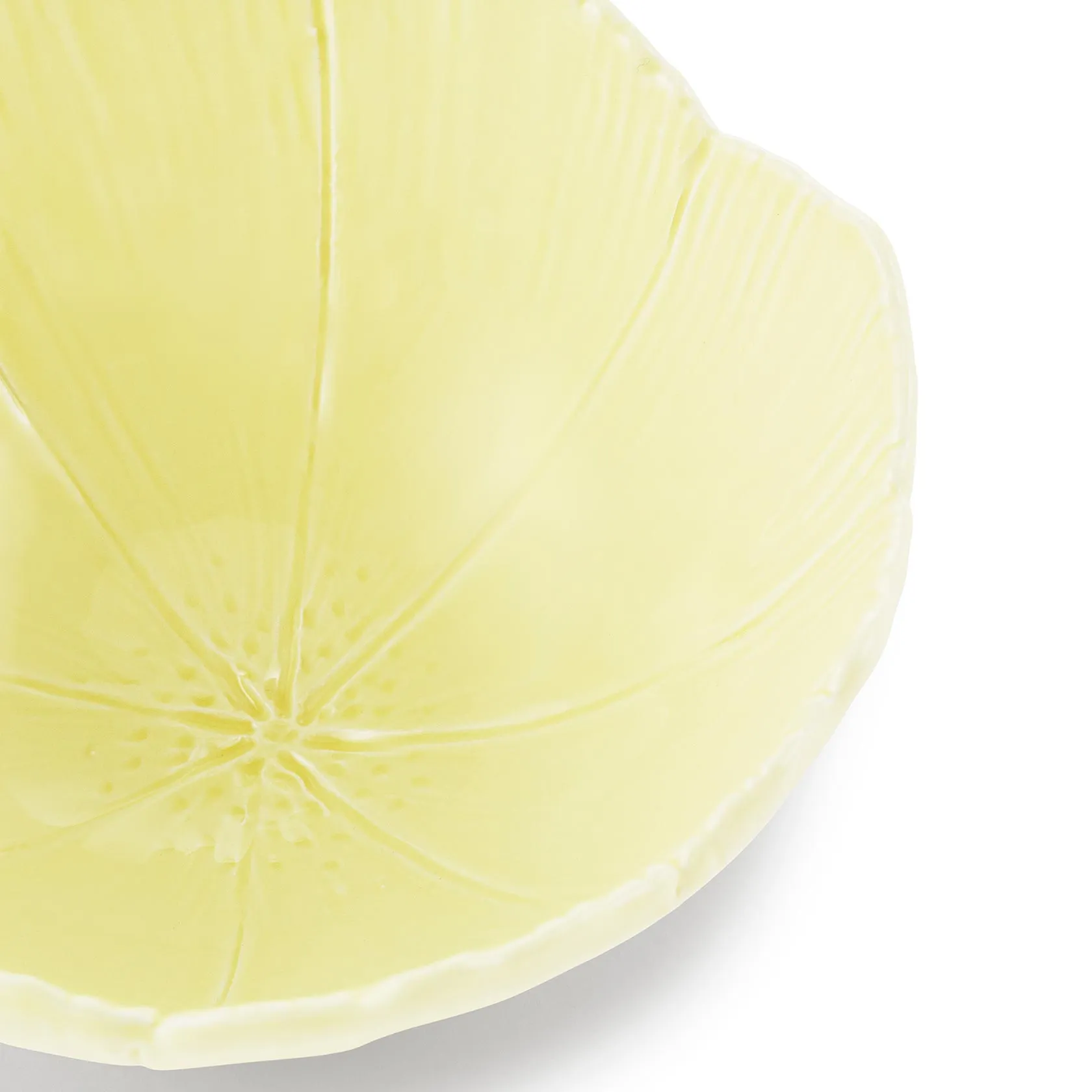 Set of 2 fruit bowls
