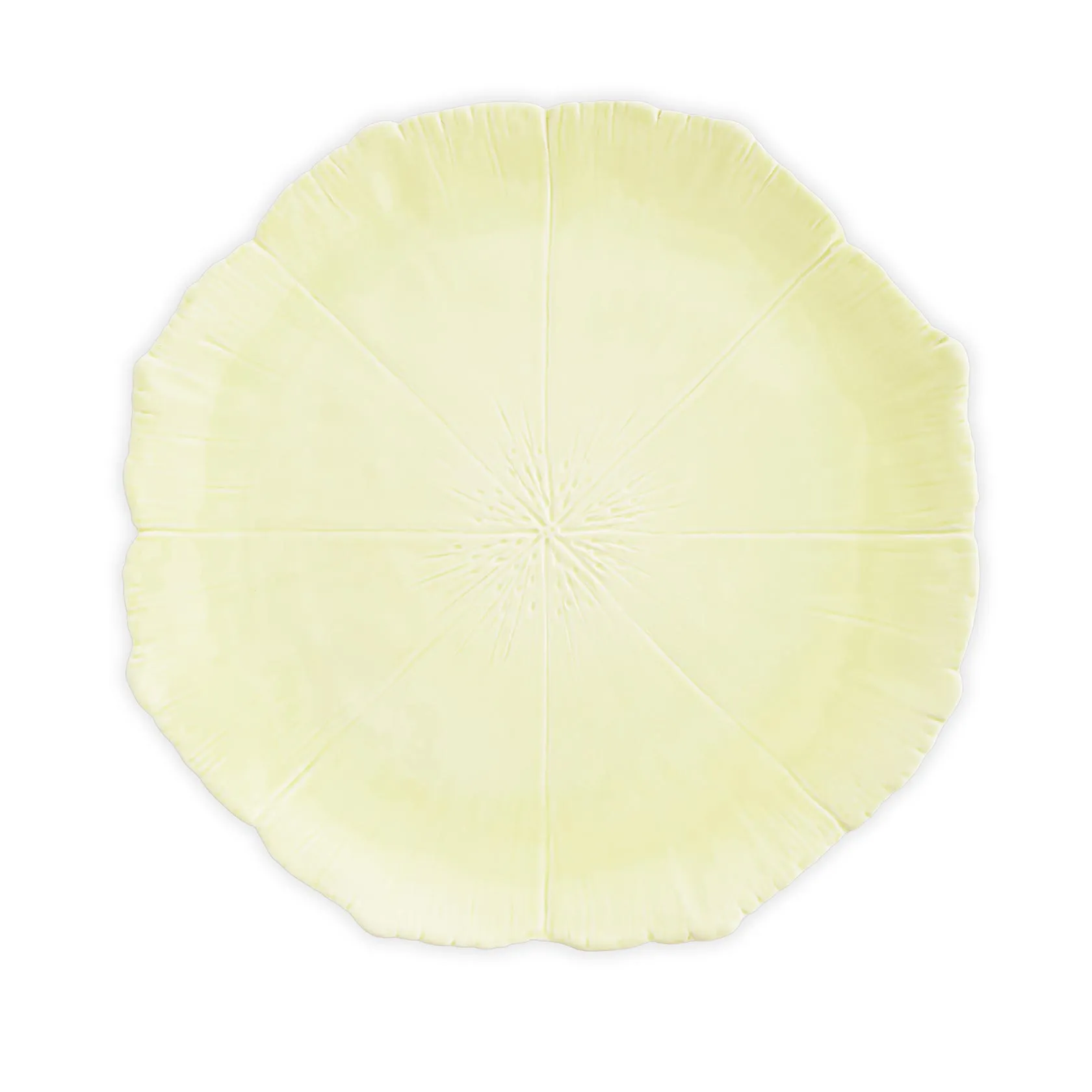 Set of 2 dinner plates