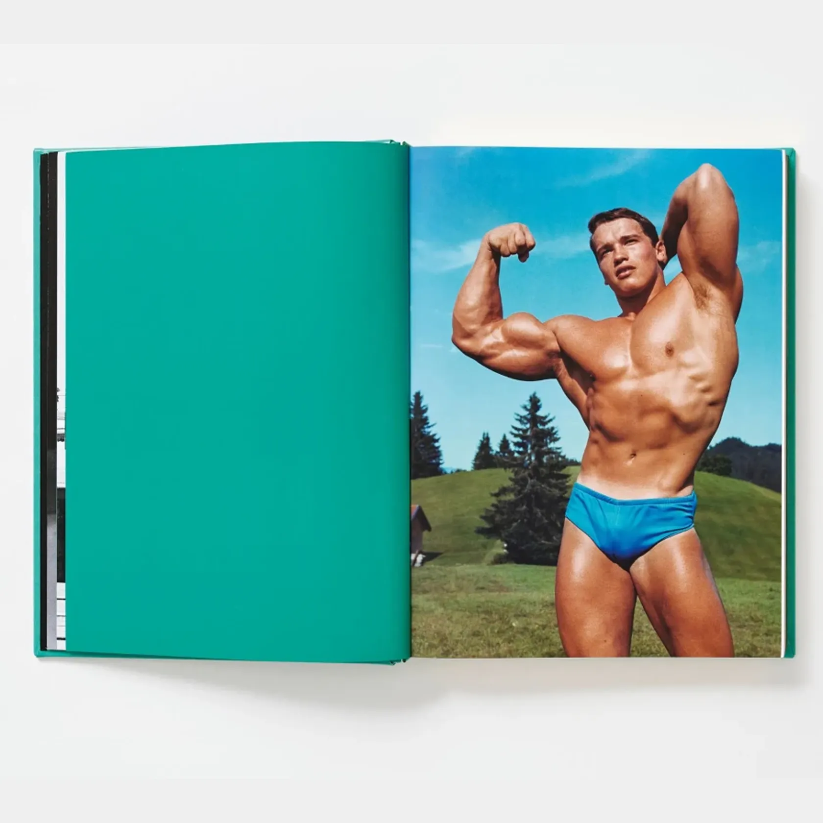 ARNOLD. Collector’s Edition