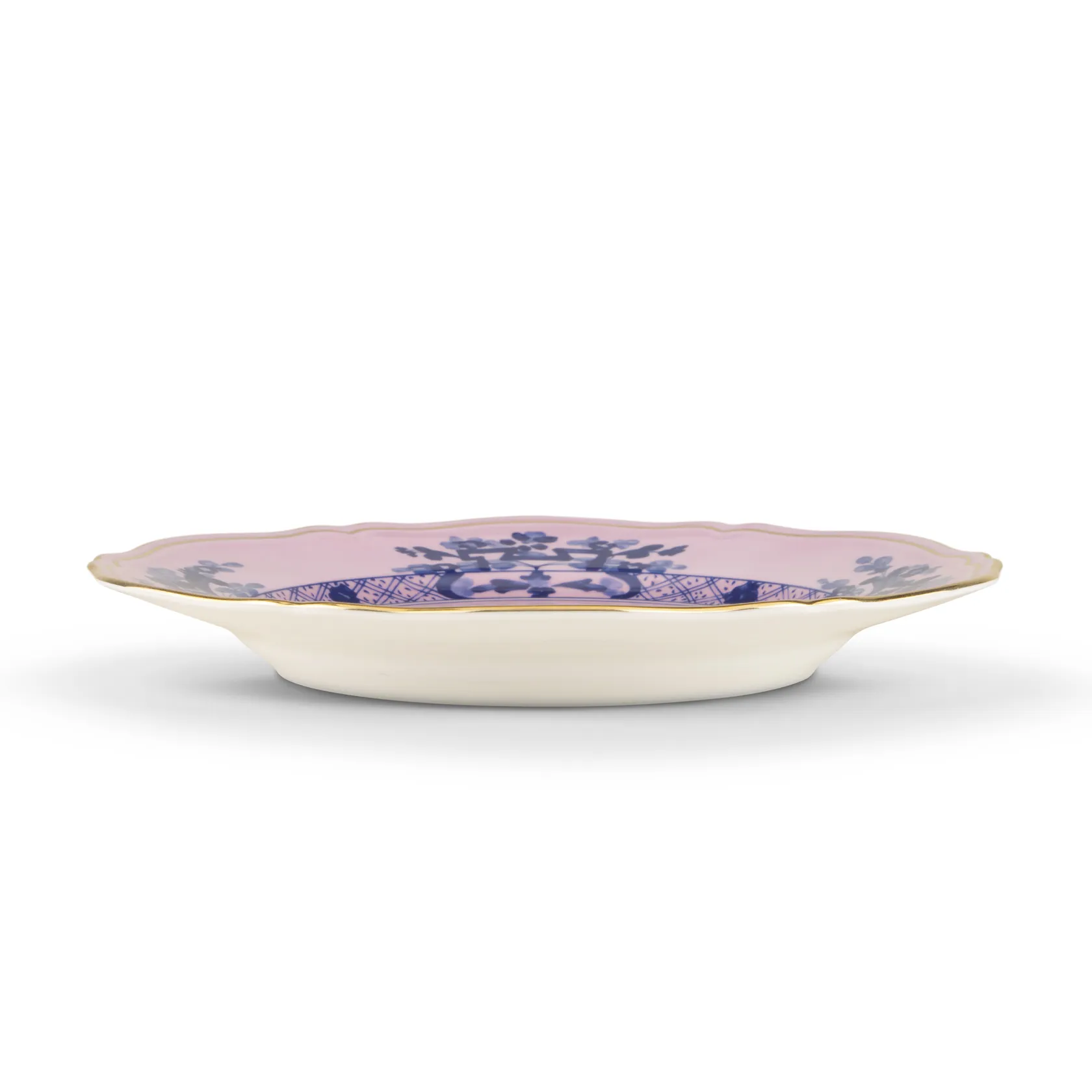 Dinner plate