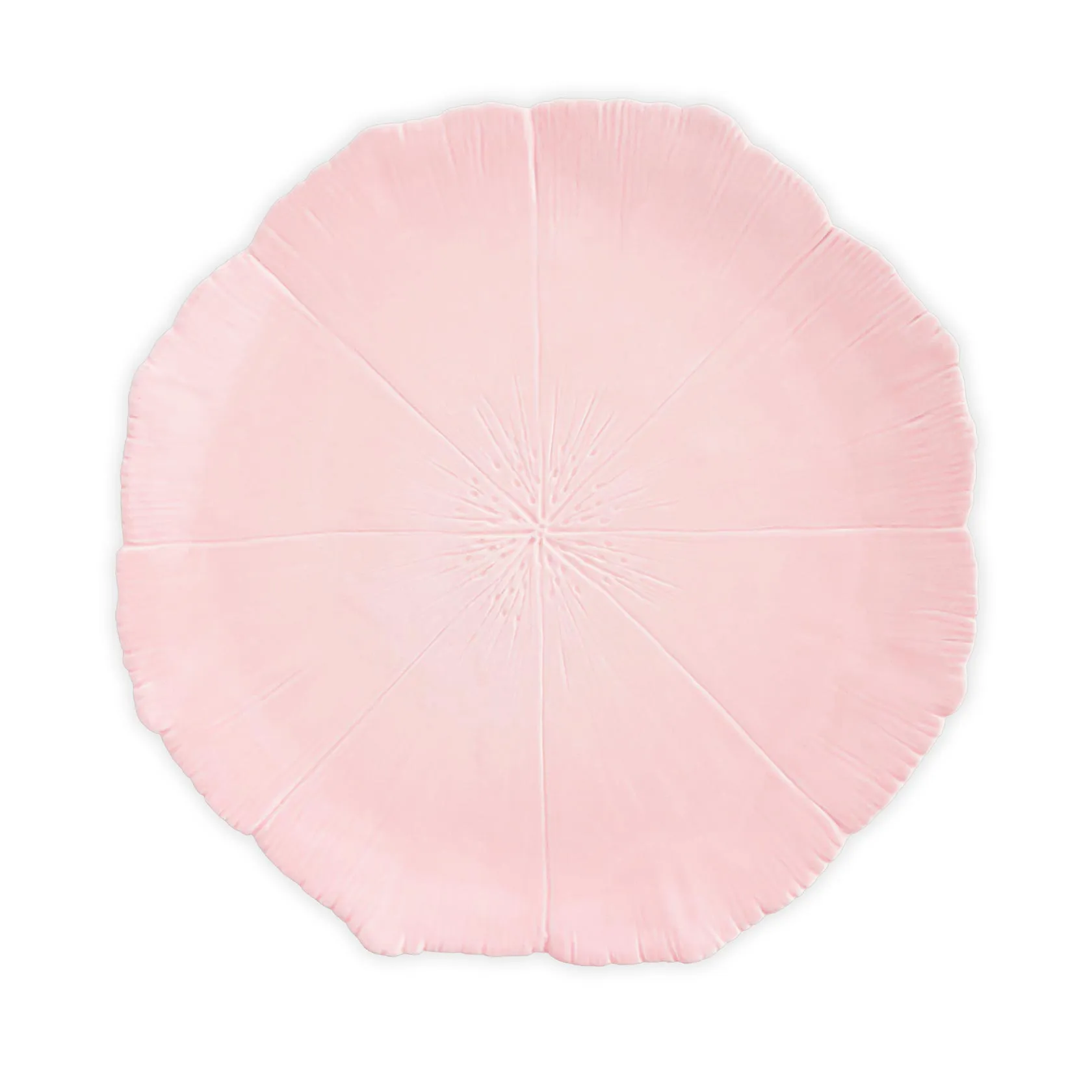 Set of 2 dinner plates