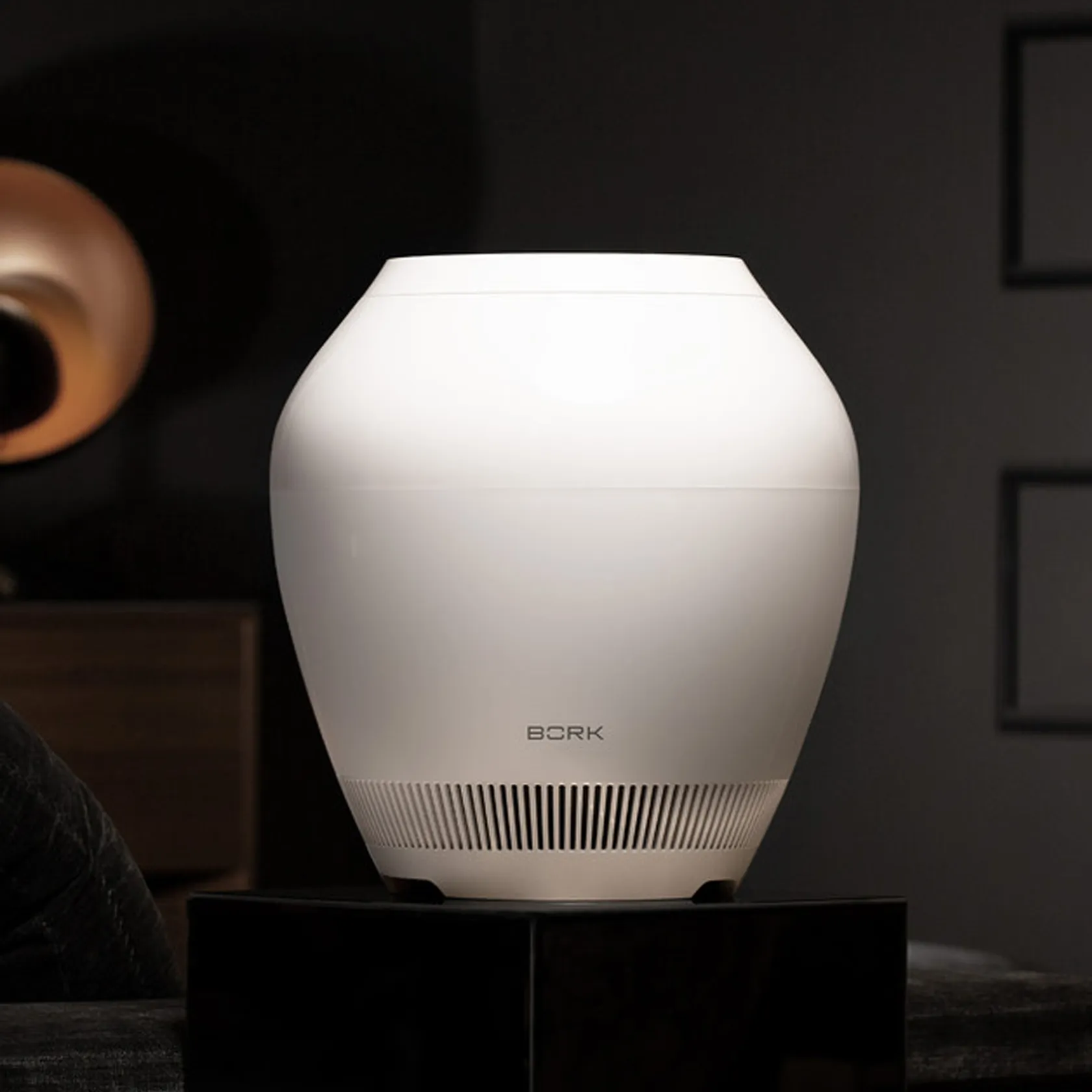 Air purifier with humidifier