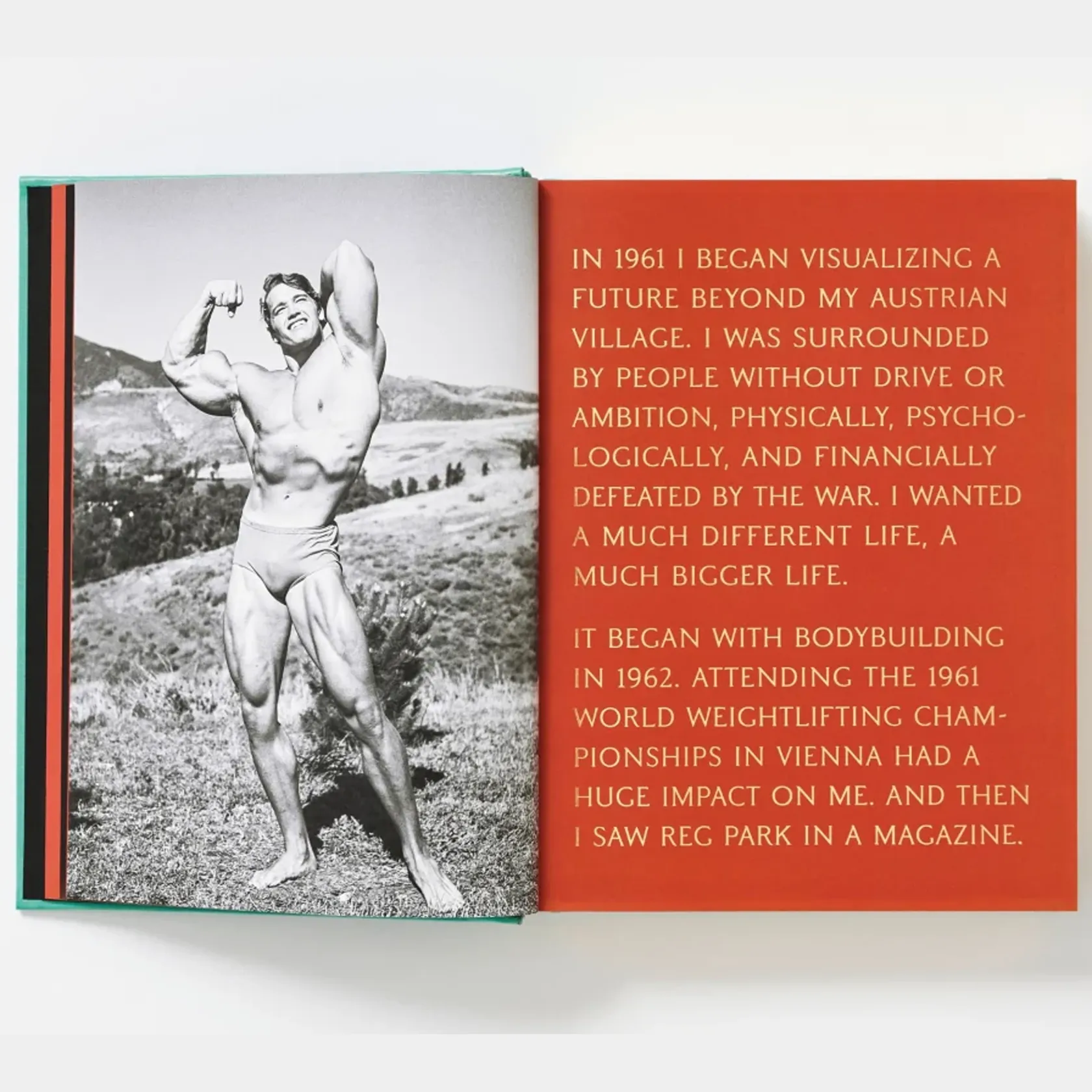 ARNOLD. Collector’s Edition